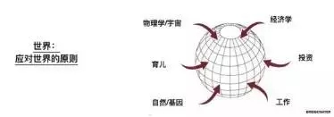 《原则》作者Ray Dalio：个人进化的五个步骤